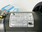 Load image into Gallery viewer, Precor 9.31 9.33 9.35 Treadmill DC Drive Motor 59125-101 S3456B3711 Refurbished (MP180)
