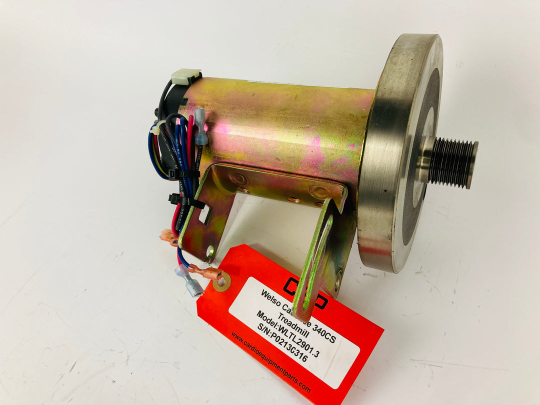 Treadmill Drive Motors