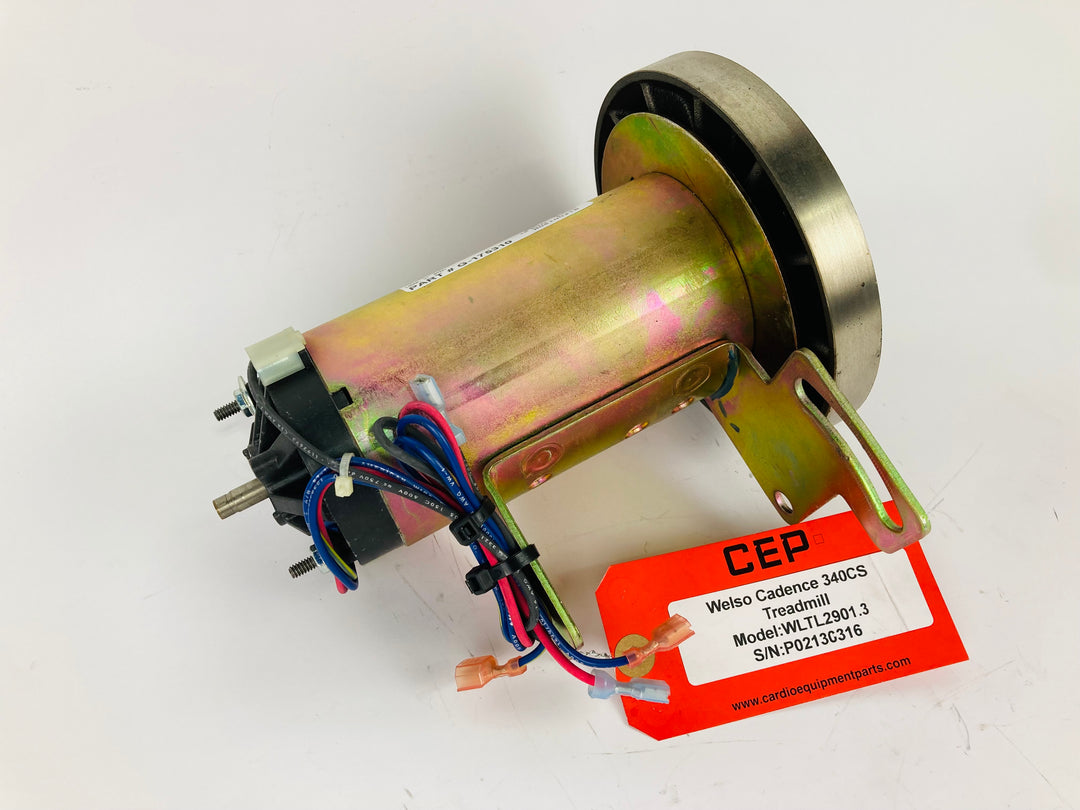 Treadmill Drive Motors