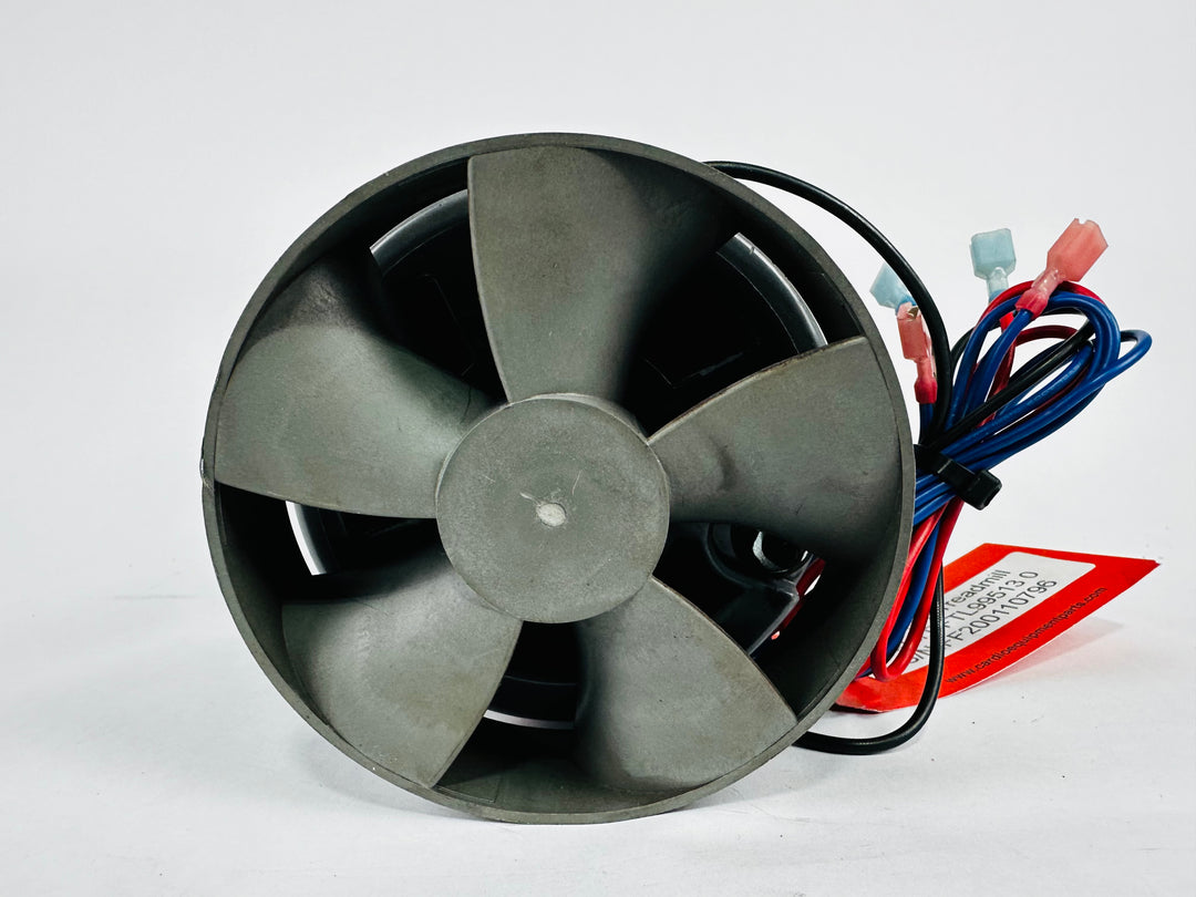 Treadmill Drive Motors