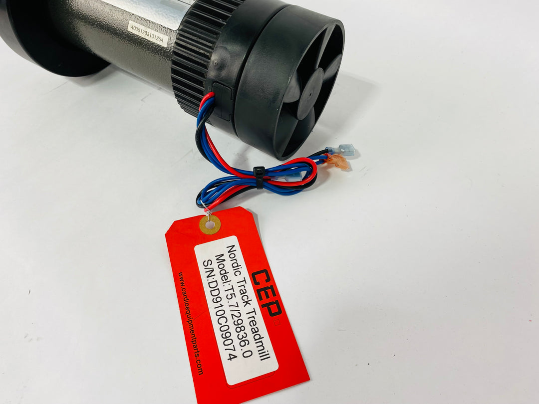 Treadmill Drive Motors